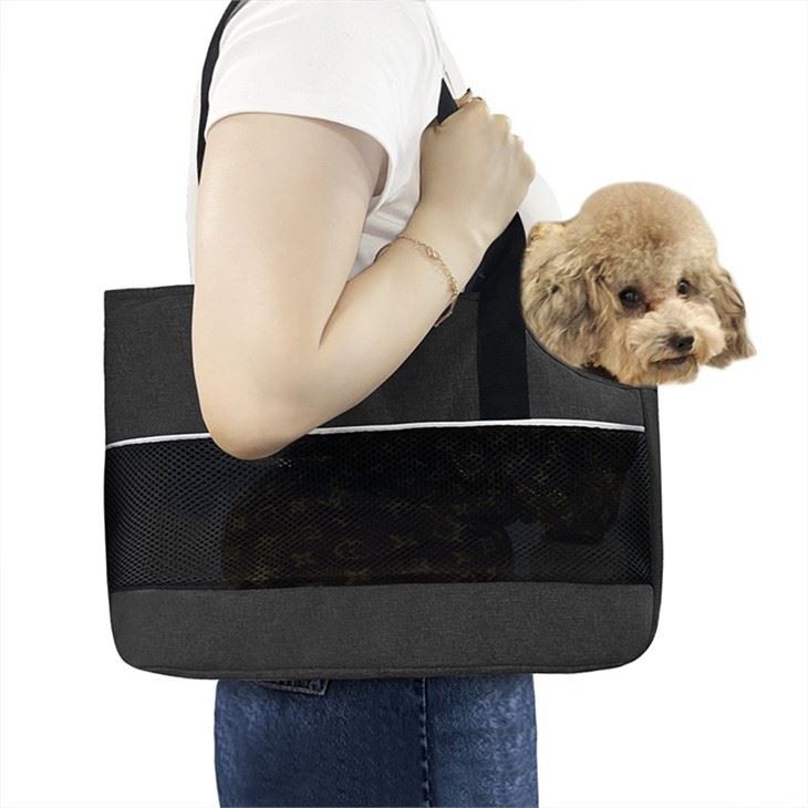 cat travel bag